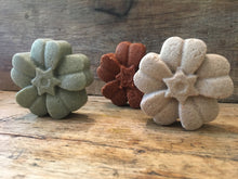 Shampoo Bar (soap + SLS free) + Conditioner Bar