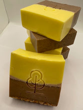 Grapefruit Walnut Bar Soap
