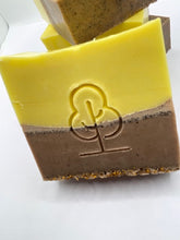 Grapefruit Walnut Bar Soap